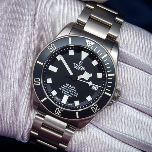 Tudor Pelagos 42mm Titanium Complete Set 25600TN