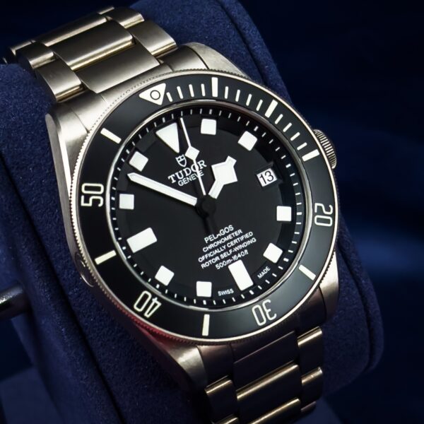 Tudor Pelagos 42mm Titanium Complete Set 25600TN - Image 4